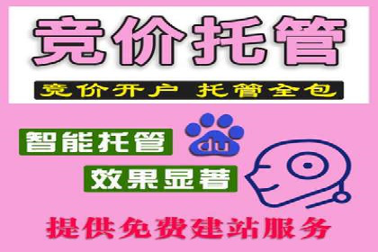 企业SEM竞价代运营效果显著案例